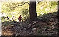 P5230667.JPG