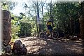 P6061046.JPG