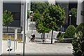 P6061068.JPG