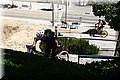 P6061072.JPG
