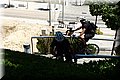 P6061073.JPG