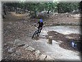 06130122.JPG