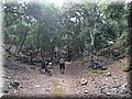 20150613114828.jpg
