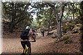 P6131282.JPG