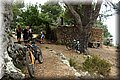 P6131292.JPG