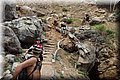 P6131313.JPG