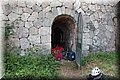 P6131339.JPG