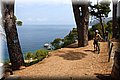 P6131340.JPG