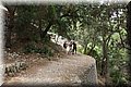 P6131352.JPG