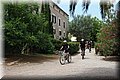 P6131361.JPG
