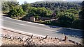 DSC_0196.JPG
