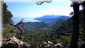 DSC_0202.JPG