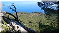 DSC_0203.JPG
