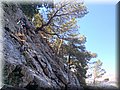 IMG-WA0026.jpg