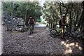 P7181782.JPG