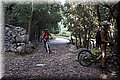 P7181783.JPG