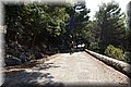 P7181789.JPG