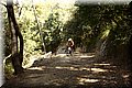 P7181793.JPG
