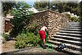 P7181799.JPG
