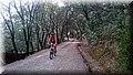 DSC_0056.JPG