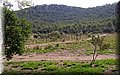 DSC_0065.JPG