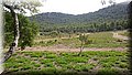 DSC_0066.JPG