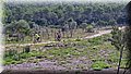 DSC_0072.JPG