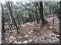 _08080057.JPG