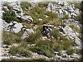 2015_09190040.JPG