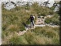 2015_09190043.JPG