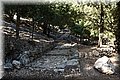 P9190618.JPG