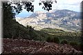 P9190621.JPG