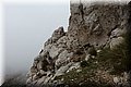 P9190646.JPG