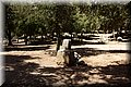 P9190667.JPG