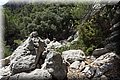 P9190670.JPG